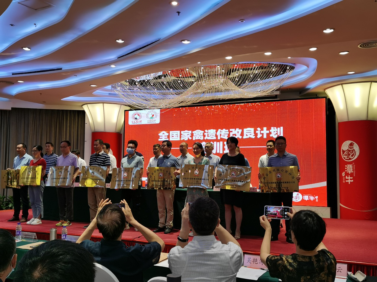在新的起点上再启新航程——m88官网再获“国家蛋鸡核心育种场”授牌