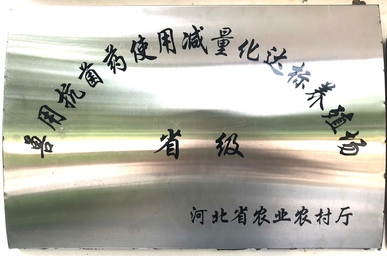 曲周m88官网荣获河北省“兽用抗菌药使用减量化达标养殖场”标牌