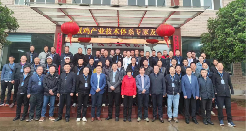 南方规模鸡场培训会在m88官网安陆基地顺利召开