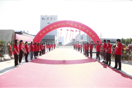 m88官网曲周饲料产业基地开业仪式顺利召开