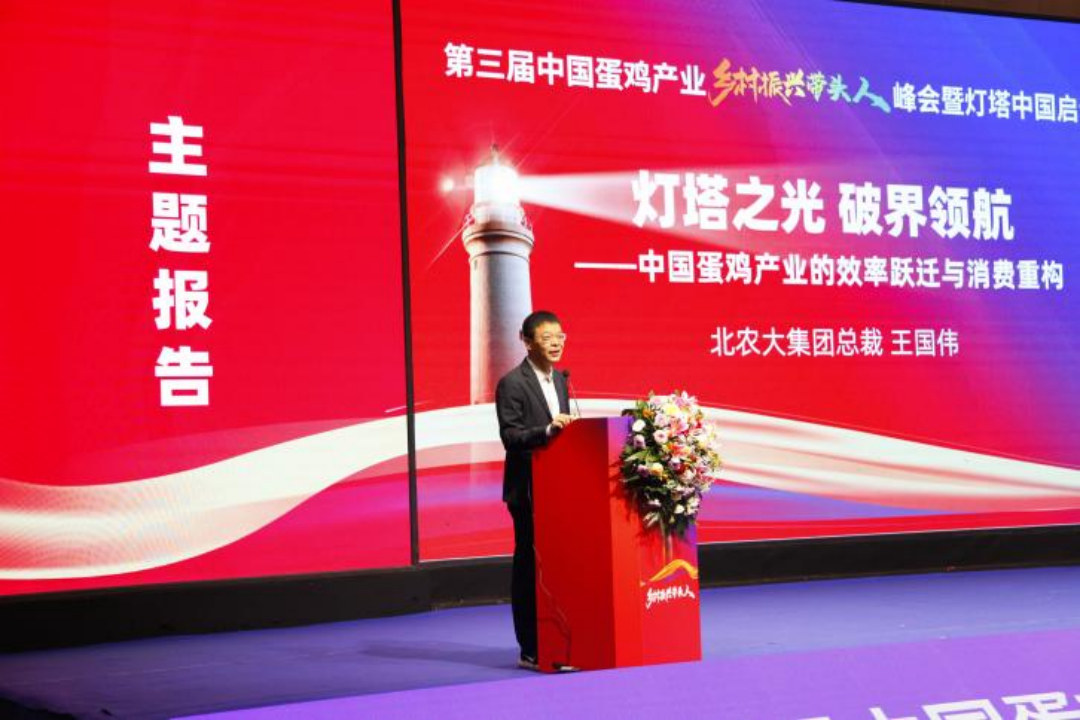 17621396006825.png image.png