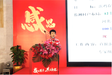 17697606251282.png 17697606251282.png