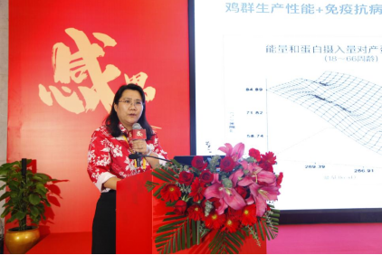 17697606775084.png 17697606775084.png